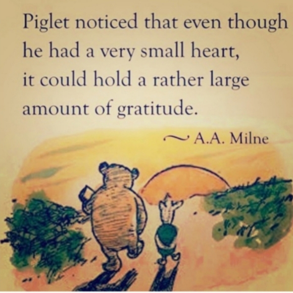 RED UNION SUIT DISTRESSED UNISEX VINTAGE Long Johns - Picture 7 of 16